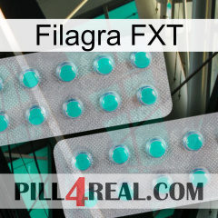 Filagra FXT 29